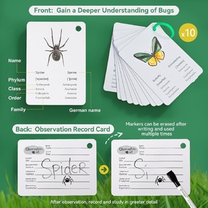 Coffret <span class=keywords><strong>de</strong></span> <span class=keywords><strong>jeu</strong></span> d'observation des insectes pour enfants : cartes éducatives, tableau d'observation, jouets d'extérieur, <span class=keywords><strong>jeu</strong></span> <span class=keywords><strong>de</strong></span> chasse au trésor pour le camping en plein air - Product Image 4