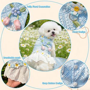 Jouets pour animaux de compagnie, chien, chat, polyester durable, neuf - Product Image 4