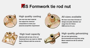 Accesorios de andamios de fabricación <span class=keywords><strong>profesional</strong></span>: Tirante de hierro fundido 10/12mm, 15/17mm, 16mm, 20/22mm y Tuerca de mariposa para anclaje de encofrado - Product Image 5