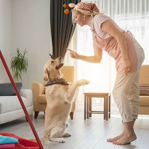 Échantillon gratuit et livraison gratuite Nouveaux produits pour animaux de compagnie 2024 Nouveauté Meilleure vente Tapis d'apprentissage pour chiens Couches pour chiens - Product Image 6