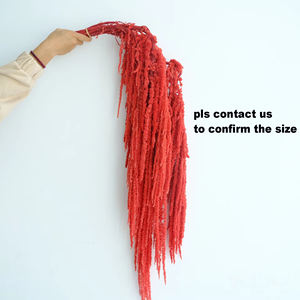 Grosir 80cm seikat Amaranthus kering alami bunga yang diawetkan untuk Natal Paskah Halloween dekorasi langit-langit Sekolah - Product Image 2