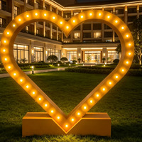 Lumière LED extérieure étanche IP65 en forme de cœur, garantie 1 an, pour arches d'amour, décorations de fête d'anniversaire, usage commercial