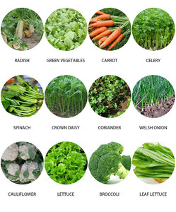 เครื่องหยอดเมล็ด<span class=keywords><strong>ผัก</strong></span>แบบมือหมุน 3 แถว ความแม่นยำสูง ชิ้นส่วนแกนเกียร์ สำหรับใช้ในฟาร์ม สำหรับ<span class=keywords><strong>เมล็ด</strong></span>สมุนไพรจีน กะหล่ำปลี หัวไชเท้า <span class=keywords><strong>เมล็ด</strong></span>ขนาดเล็ก - Product Image 2