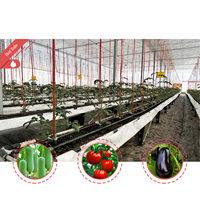 Serre tunnel horticole monocouche en film PE de grande taille, économique, en promotion, pour la culture des baies et des tomates