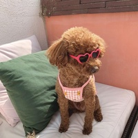 Lunettes de soleil mignonnes en forme de coeur pour petits chiens et chats accessoires de produits pour animaux de compagnie d'été pour photos accessoires en gros