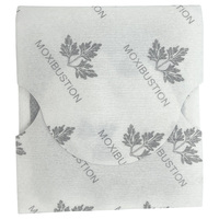 Patch thermique à base de plantes pour le soulagement de la douleur Moxa plâtre pour les fournitures de thérapie de rééducation