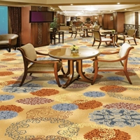 Tapis modernes doux et abordables pour la décoration murale complète de la pièce, design moderne en stock pour restaurants et salles.