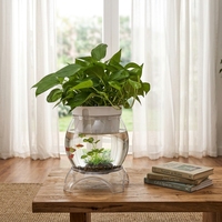 Vase en plastique PET transparent incassable KAJI modèle 8821, aquarium écologique créatif pour plantes hydroponiques, support de bureau