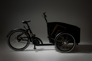 Vélo cargo électrique, entrepôt européen, tricycle familial néerlandais à 3 roues, 250W, moteur sans balais, cadre en acier, frein à disque, Lastenrad - Product Image 5