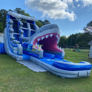 Tobogán de agua inflable para fiesta al aire libre de PVC de grado comercial a precio de fábrica, tobogán de agua de tiburón con piscina para niños - Product Image 1