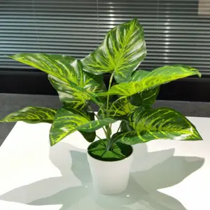义乌厂家直销假冒植物用于书桌模拟小绿植物盆栽厨房装饰人造植物