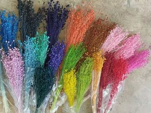 Taidian — <span class=keywords><strong>fleurs</strong></span> d'acacia <span class=keywords><strong>séchées</strong></span> naturelles, vente en gros, vraies perles, <span class=keywords><strong>séchées</strong></span>, vente en gros, B0170 - Product Image 2