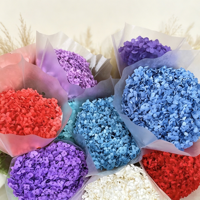 Grandes Hortensias Anna Séchées et Préservées Populaires pour la Décoration de Mariage/Maison – Bouquets d'Hortensias