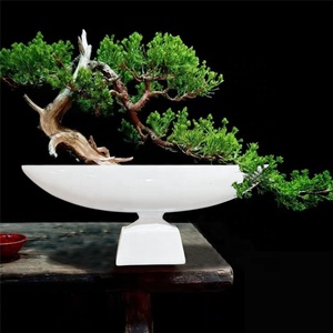 Elegante Vaso Bianco a Forma di Barca per Uso Domestico, Centrotavola di Alta Qualità per Giardino, Ciotola per Frutta - Product Image 2
