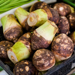 Raíz de Taro Productos de calidad superior para la industria y las ventas minoristas Tamaño constante Satisfacción del cliente - Product Image 4