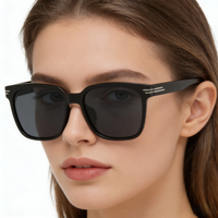 Lunettes de soleil polarisées carrées de luxe pour hommes, monture TR, logo personnalisé, haute qualité, avec logo de marque, vente en gros