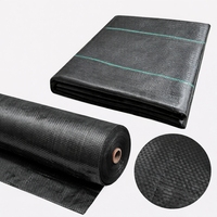 Toile de paillage/couvre-sol en PP 50-200 g/m² (résistante aux UV), adaptée à l'agriculture et à l'aménagement paysager.