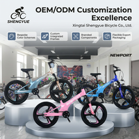 Nouveau Vélo de Montagne SY à Absorption des Chocs, Vitesse Variable, 20 Pouces, en Alliage de Magnésium avec Frein à Disque