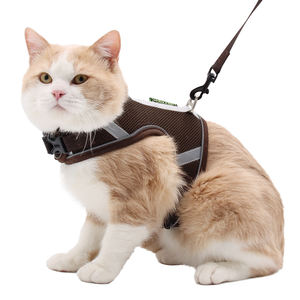cat harness animates