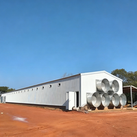 Bâtiment commercial économique en structure métallique pour élevage de poulets pondeuses, à vendre