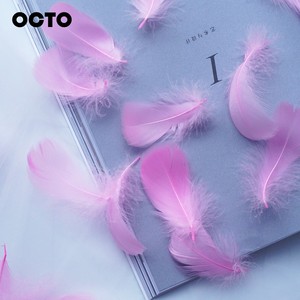 100 Cái Đồ Thủ Công Tự Làm Làm Quà Tặng Nhồi Bông Lông Ngỗng Nhỏ Ngọt Ngào Tự Nhiên Đủ Loại 4-8Cm - Product Image 4