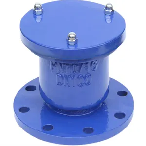 DN50-DN300 Customizable Blue Automatic Air Exhaust Valve Single Port Release Vents with Manual Control