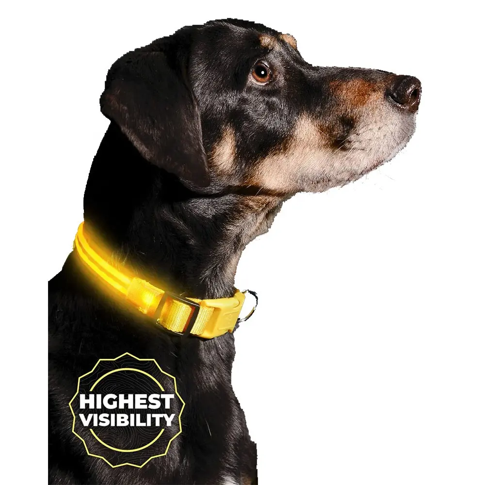 LEDライトアップ犬の首輪明るく視認性の高いグローナイトウォーキングUSB充電式耐候性