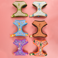 Harnais pour animaux de compagnie MIDEPET à imprimé tendance, boucles en métal couleur or, étiquette d'identification assortie, pour la Saint-Valentin, cadeau du Nouvel An, polyester