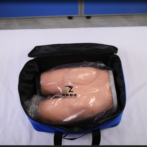 Modèle avancé d'injection musculaire fessière et de structure anatomique - Modèle d'enseignement médical et de formation - Product Image 3