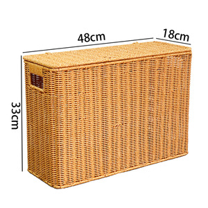 Boîte de rangement étroite et haute à couvercle, aspect rotin, organisateur d'espace pour magazines, coin de canapé, rangement latéral - Product Image 6