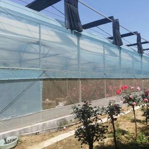 ท่อชุบสังกะสีชั้นเดียวสำหรับโรงเรือนสไตล์วิคตอเรียพร้อมวัสดุ PE สำหรับโรงงาน - Product Image 2