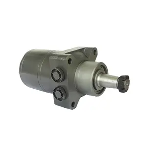 Hydraulic System BMRW Practical Advanced Hydraulic Gear Motor Reductor Orbital Hydraulic Gear Motor