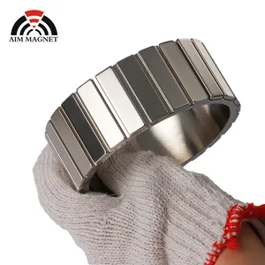 Magnet Neodymium Arc Magnet With High Temperature