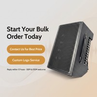 Amplificador de Guitarra Recargable con Altavoz y Bluetooth, Micrófonos Inalámbricos Dobles para Transmisión en Vivo y Música Callejera