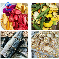 Vriesdroogmachines voor aardbeien, lyofilisatie, fruitvriesdroging, lyofilisatiemachine, fruitmachine, lyofilisator
