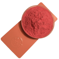 Revêtement en poudre polyester thermodurcissable rose personnalisé, anti-rayures, résistant à l'usure, pour pulvérisation électrostatique et peinture de meubles