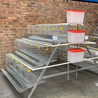 Cages à poules pondeuses de type A 20000, 4 niveaux, pour élevage industriel, conception directe usine WIN