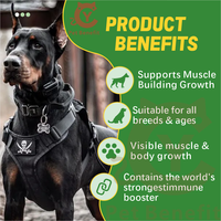 Soutien Musculaire pour Animaux de Compagnie : Friandises à Croquer Riches en Protéines pour la Prise de Masse Musculaire, BCAA, Arginine, Glutamine – Personnalisation OEM/ODM, Marque Privée