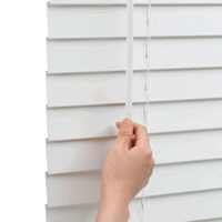 Stores de fenêtre horizontaux modernes en PVC intégrés de 2 pouces pour lucarne