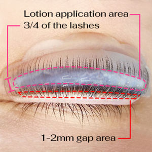 <span class=keywords><strong>Kit</strong></span> de <span class=keywords><strong>Lifting</strong></span> de Pestañas con Keratina Coreana de 5 Minutos <span class=keywords><strong>Lomansa</strong></span>, para <span class=keywords><strong>Lifting</strong></span> de Pestañas con Tratamiento de Crecimiento de Larga Duración, <span class=keywords><strong>Kit</strong></span> de <span class=keywords><strong>Lifting</strong></span> de Pestañas y Cejas en Sachet - Product Image 4