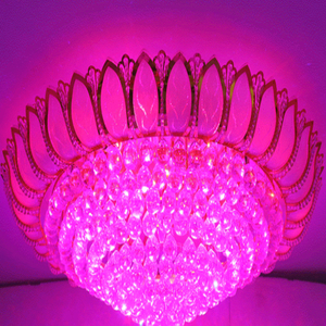 Lustre <span class=keywords><strong>de</strong></span> plafond avec perles <span class=keywords><strong>de</strong></span> cristal et pompons, décoration pour restaurant, salon, motif lotus bleu, style bol <span class=keywords><strong>de</strong></span> trésor - Product Image 6