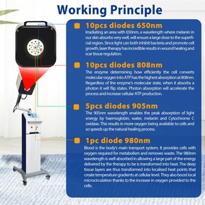 Dispositivo per Terapia Laser a Freddo 650 808 905 980 nm per il Sollievo dal Dolore al Nervo Sciatico e da Ferite e Fratture - Product Image 3