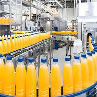 Volledig automatische mango-ananas fruitsapcentrifugeermachine met motor van 75 kW vermogen