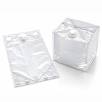 Sacs plats transparents personnalisés pour cartons, deux tailles, revêtement liquide de qualité alimentaire avec bouchon à vis pour emballage en carton