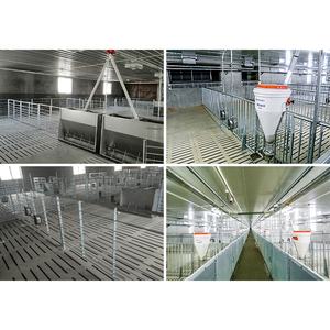 <span class=keywords><strong>Venta</strong></span> Directa <span class=keywords><strong>de</strong></span> Fábrica: Jaulas <span class=keywords><strong>de</strong></span> Destete y Cría <span class=keywords><strong>de</strong></span> Lechones <span class=keywords><strong>de</strong></span> Larga Duración para Granjas - Product Image 3