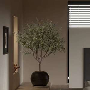 Plantes vertes artificielles personnalisées haut <span class=keywords><strong>de</strong></span> gamme, grands oliviers, style antique, décorations et ornements en <span class=keywords><strong>pot</strong></span> du sol au plafond - Product Image 4