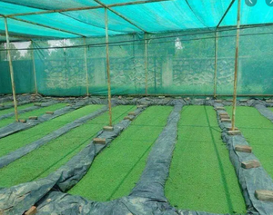 OBOR-Geomembrana HDPE negra para estanques Azolla, 0,75mm, 1mm, en Egipto, <span class=keywords><strong>Jordan</strong></span> - Product Image 4