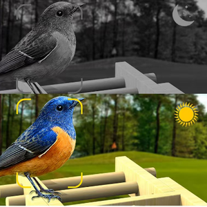 <span class=keywords><strong>OEM</strong></span> 4K AI 조류 피더 카메라 방수 솔리드 패턴 야외 대나무 조류 피더 스마트 태양 에너지 구동 목재 자동 - Product Image 5