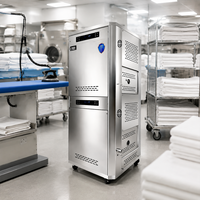 Générateur de vapeur au gaz JOWIN 100-160KW, 140-220 Kg/h, en acier inoxydable 304, pour table de repassage à la vapeur et blanchisserie d'hôtel