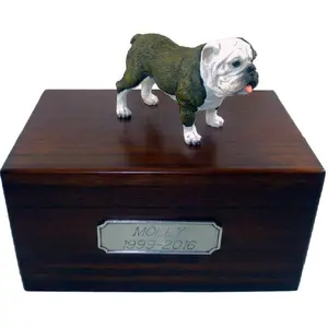 Vendita all'ingrosso scatola sigillata urne-Amazon pet urna sigillato sigillato a prova di umidità scatola memoriale per gli animali domestici cremazione forniture